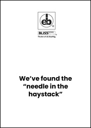 The Needle in the Haystack